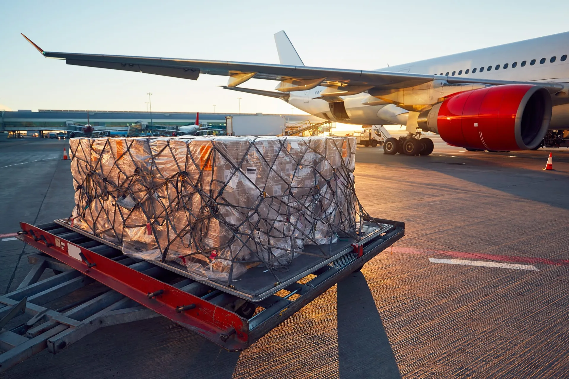 Secured air cargo pallet beside a commercial aircraft